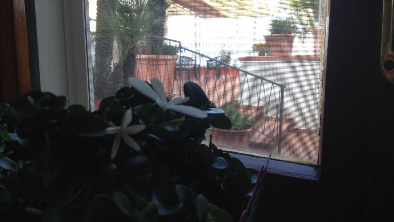 Photo of Others in Castellammare di Stabia