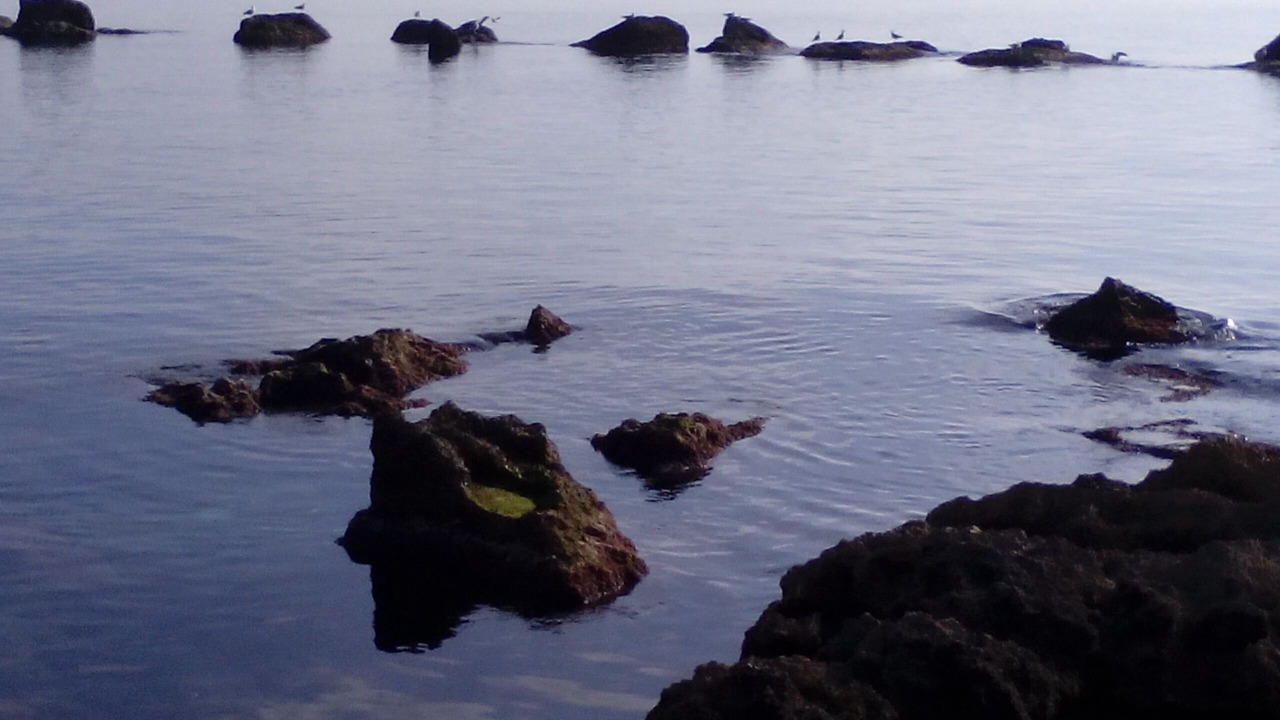 Photo of Others in Capilungo