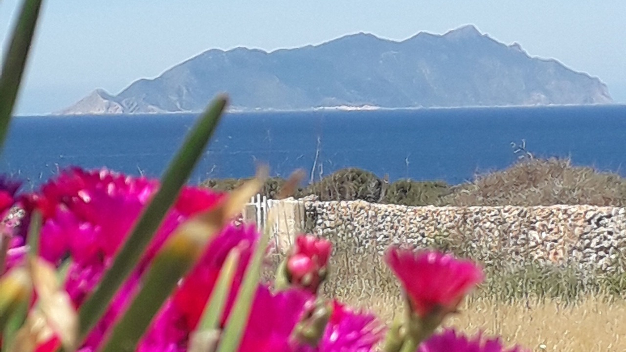 Photo of Outdoor in Favignana