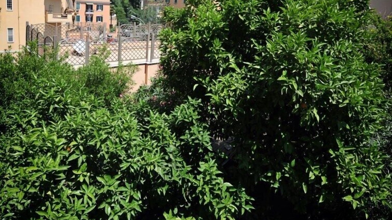 Photo of Bedroom in Aventine