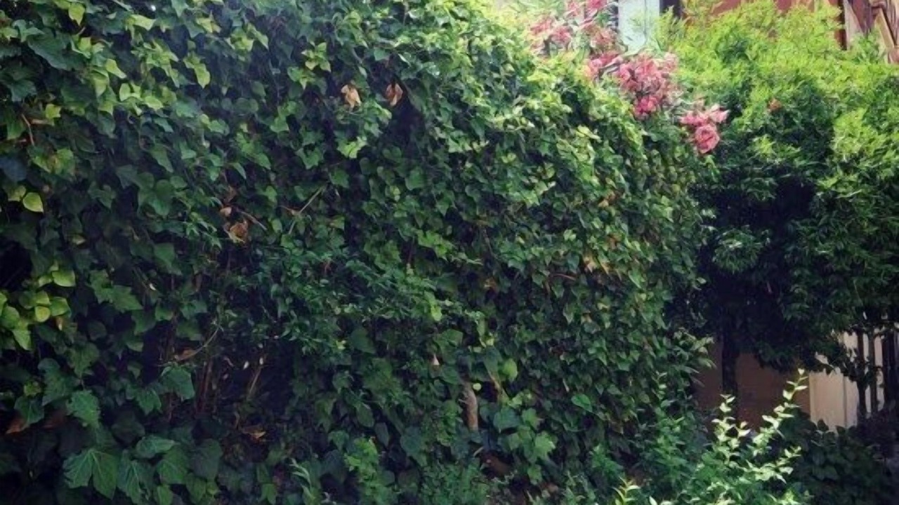 Photo of Outdoor in Aventine