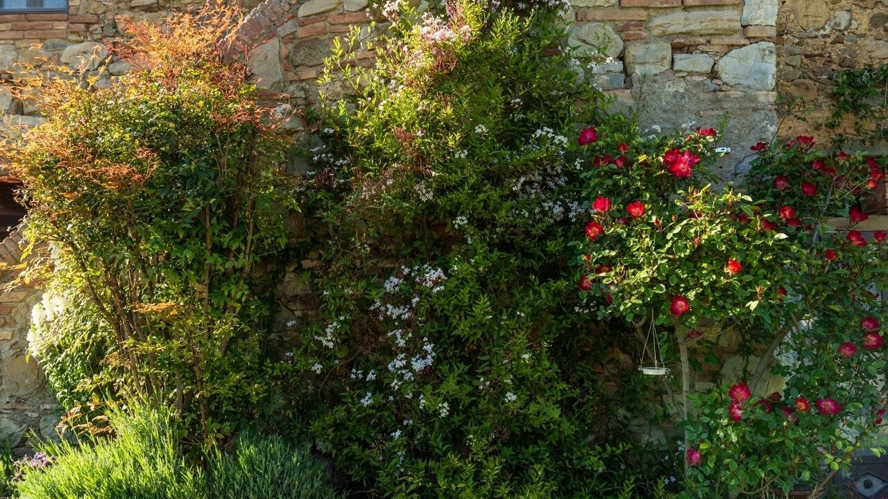 Photo of Outdoor in Chianni