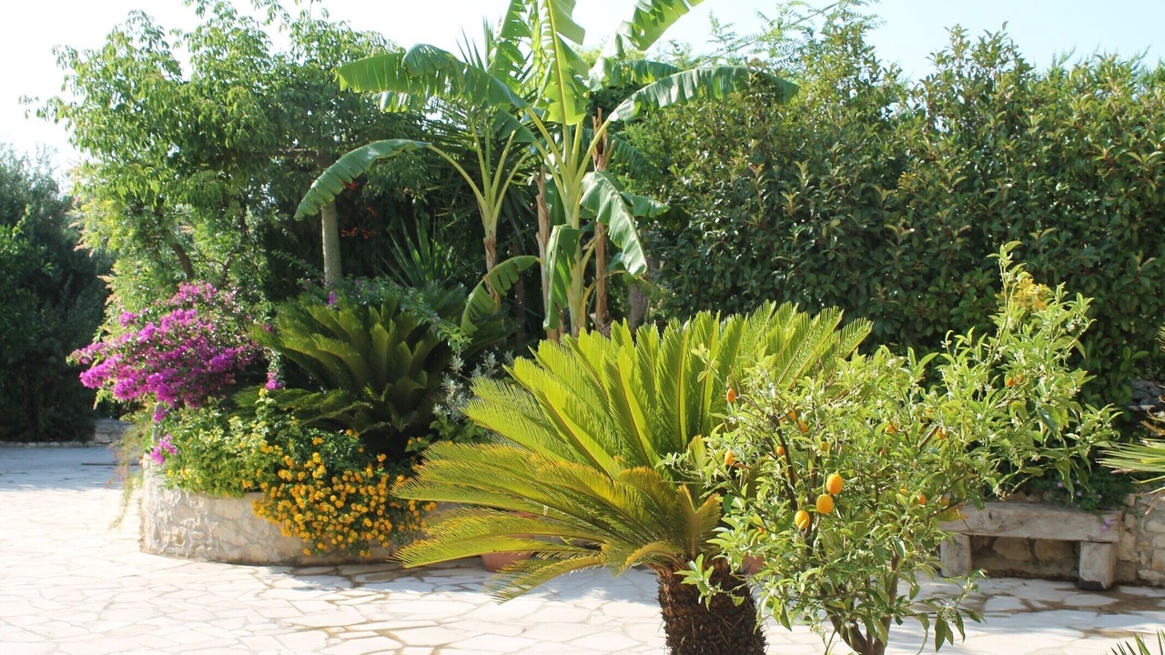 Photo of Outdoor in Casa Papa