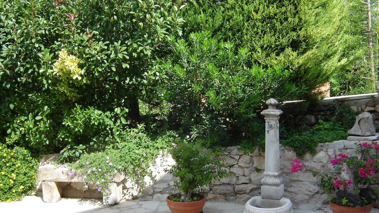 Photo of Outdoor in Casa Papa