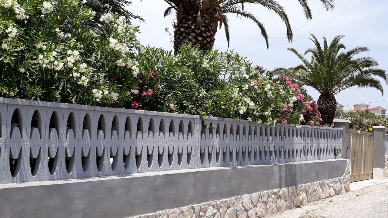 Photo of Outdoor in Casa Papa