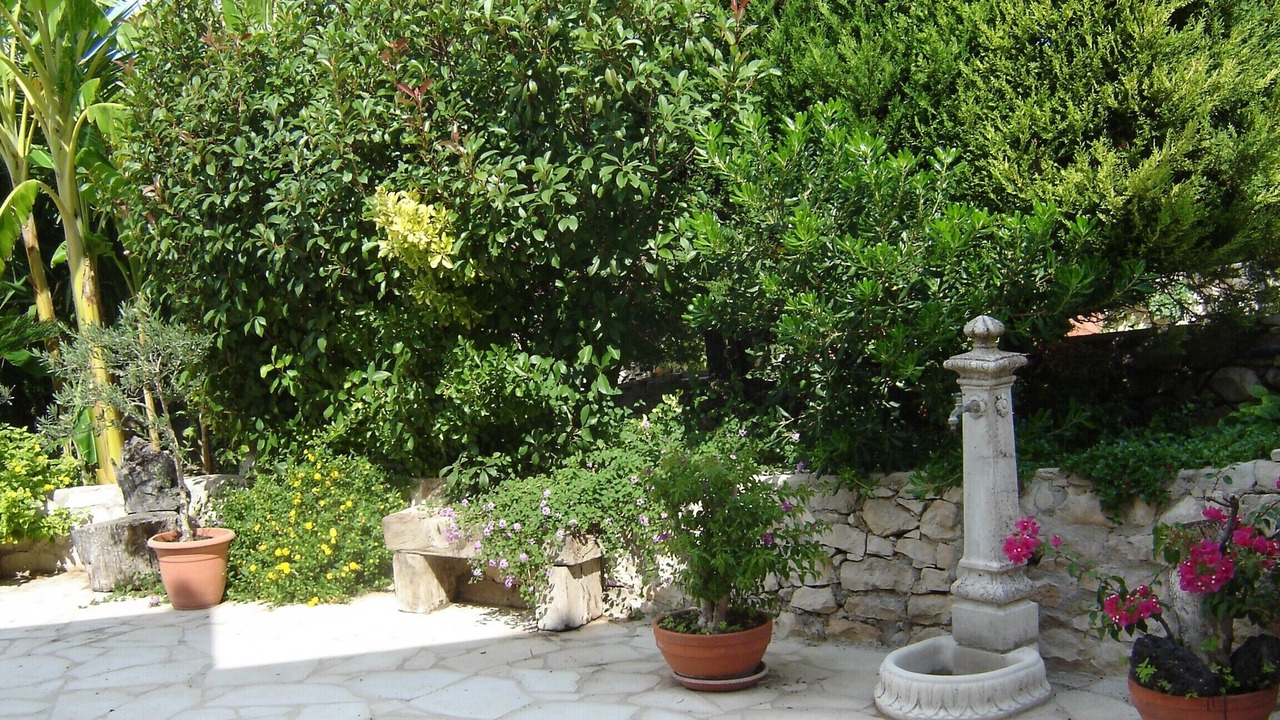 Photo of Outdoor in Casa Papa