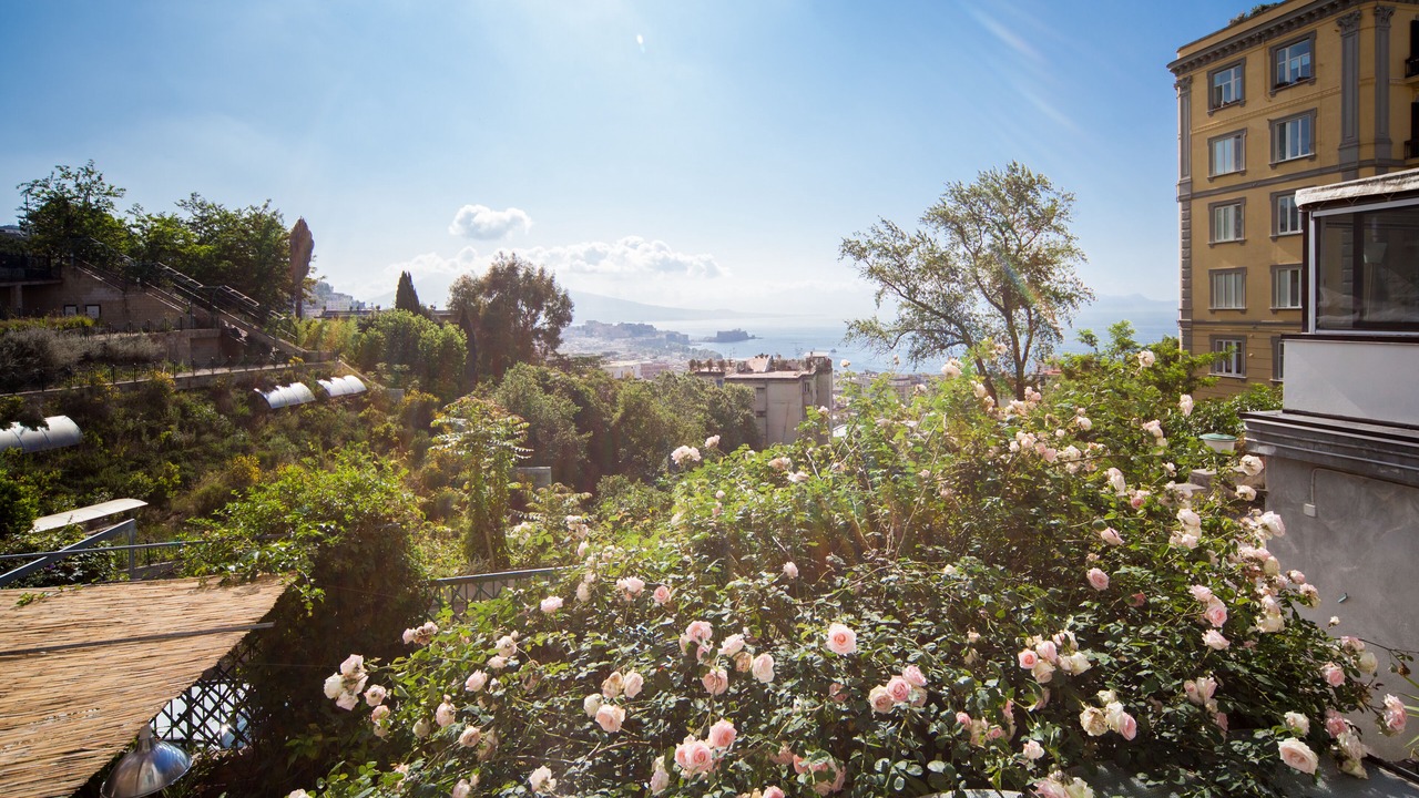 Photo of Outdoor in Naples