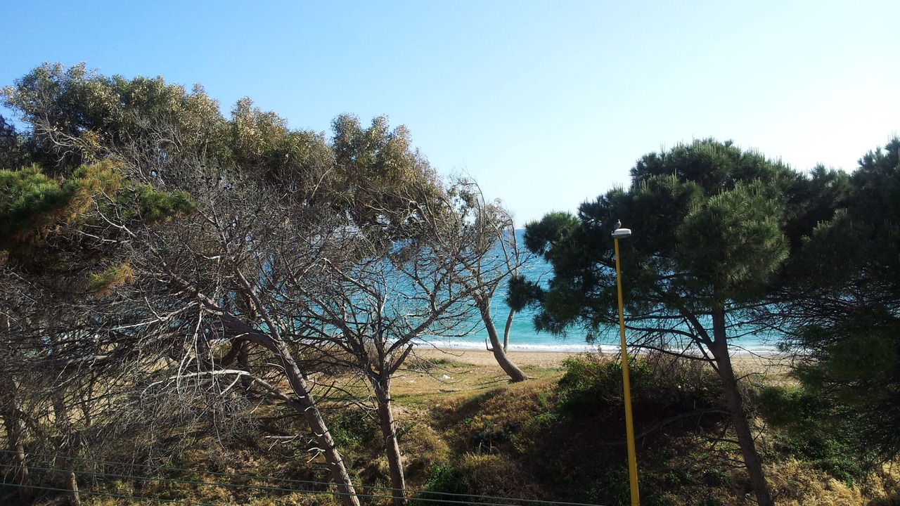Photo of Outdoor in Dune