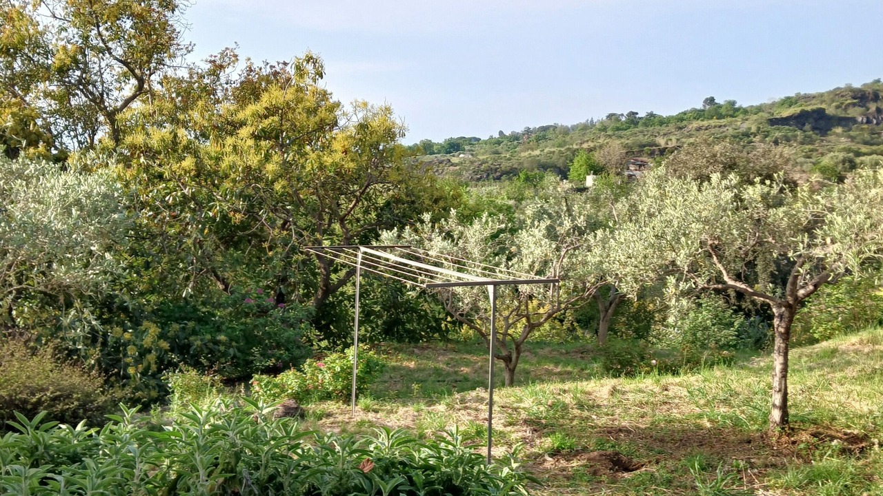 Photo of Others in Mascali