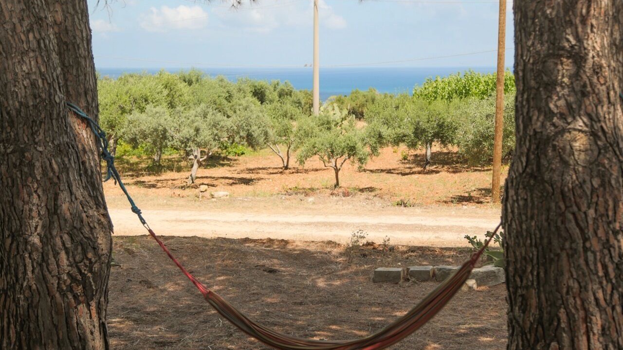 Photo of Others in Scopello