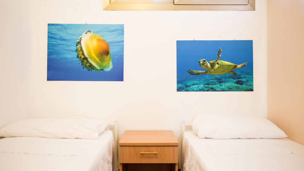 Photo of Bedroom in Scopello