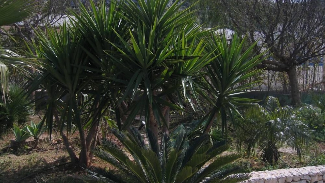 Photo of Outdoor in San Vito Lo Capo