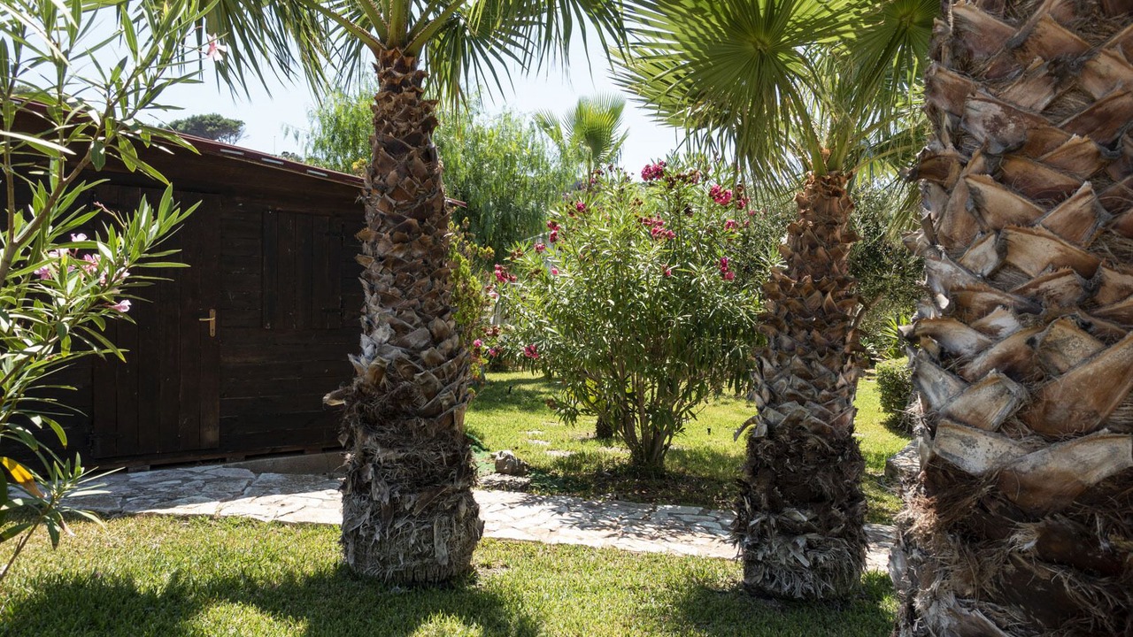 Photo of Outdoor in San Vito Lo Capo