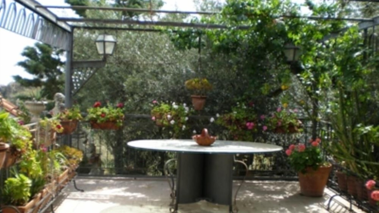 Photo of Outdoor in Trabia