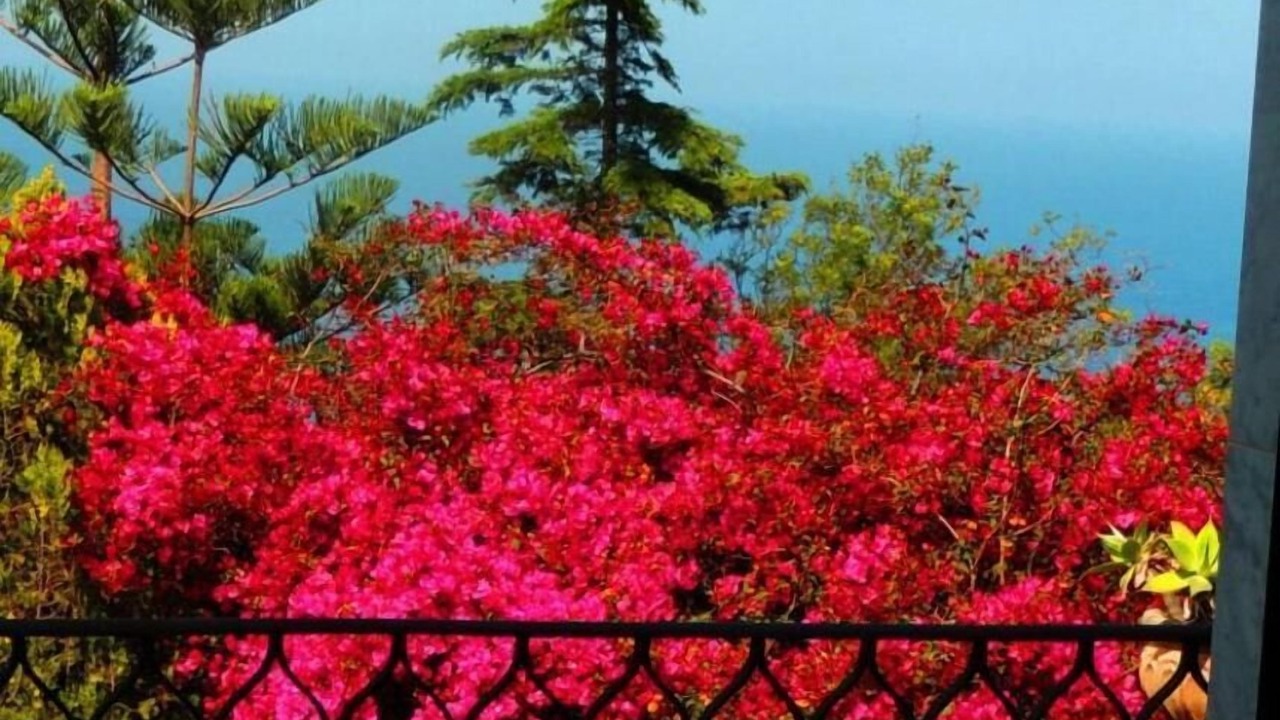 Photo of Outdoor in Trabia
