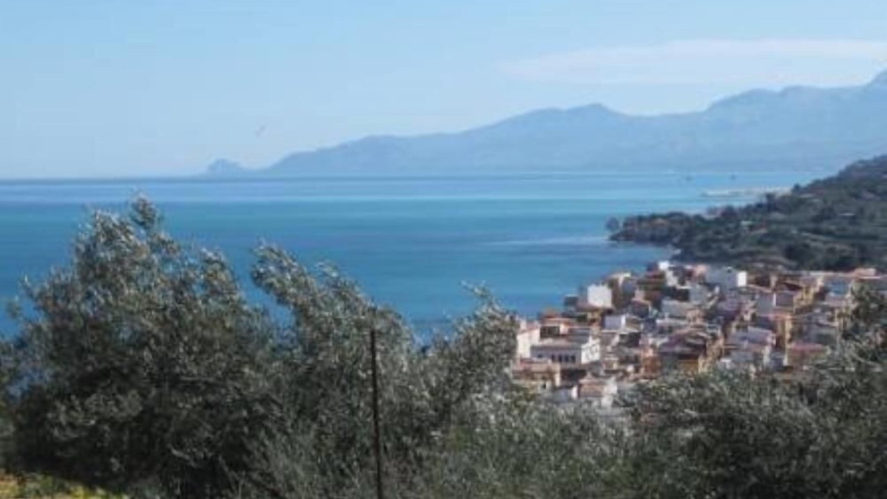 Photo of Others in Trabia