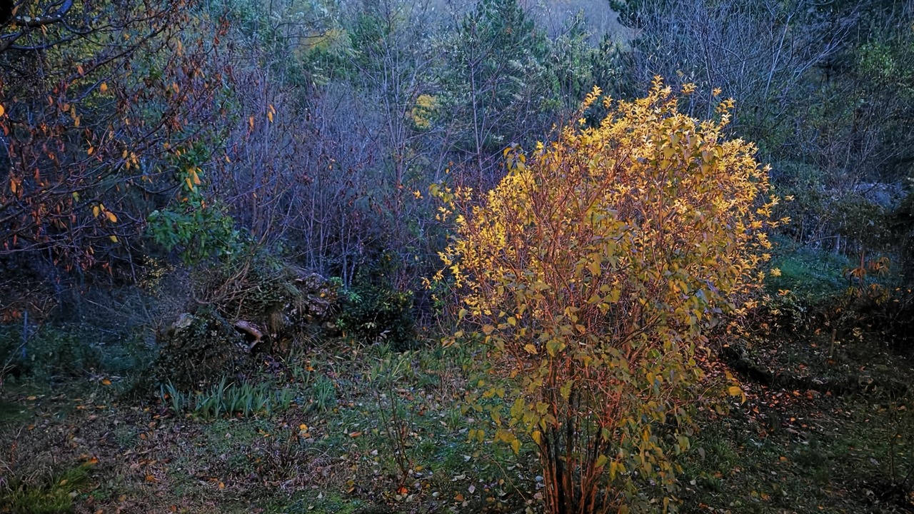 Photo of Outdoor in Stibiveri