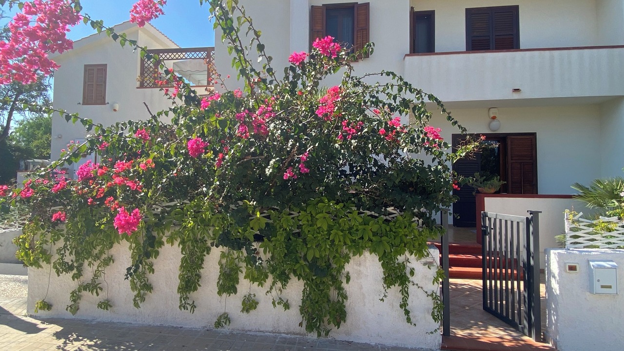 Photo of Outdoor in San Vito Lo Capo