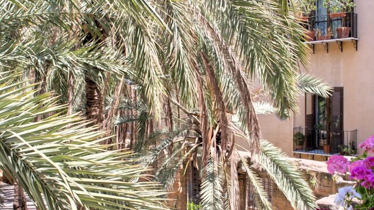 Photo of Outdoor in Kalsa
