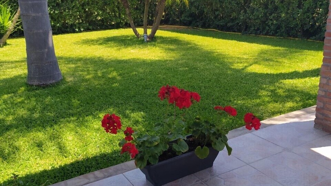 Photo of Patio Balcony in Avola