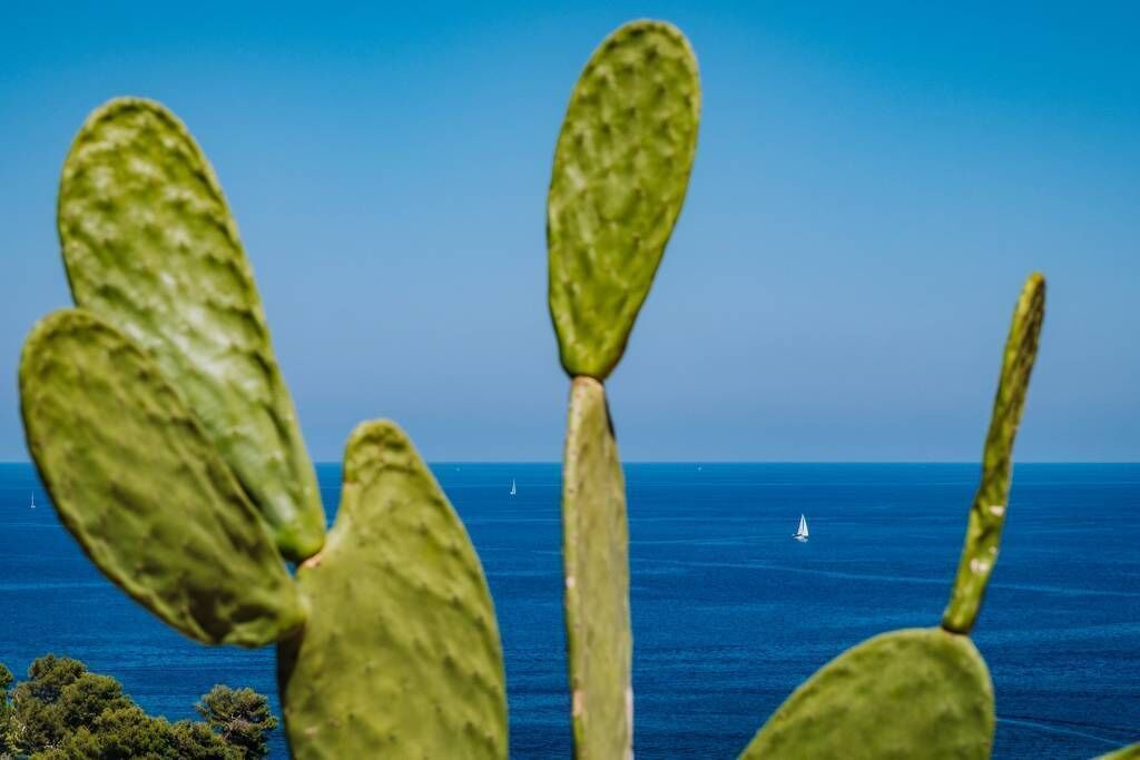 Photo of Others in Capo Zafferano