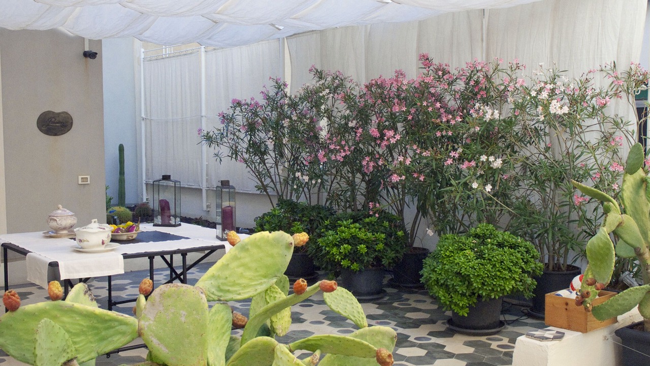 Photo of Outdoor in Marsala