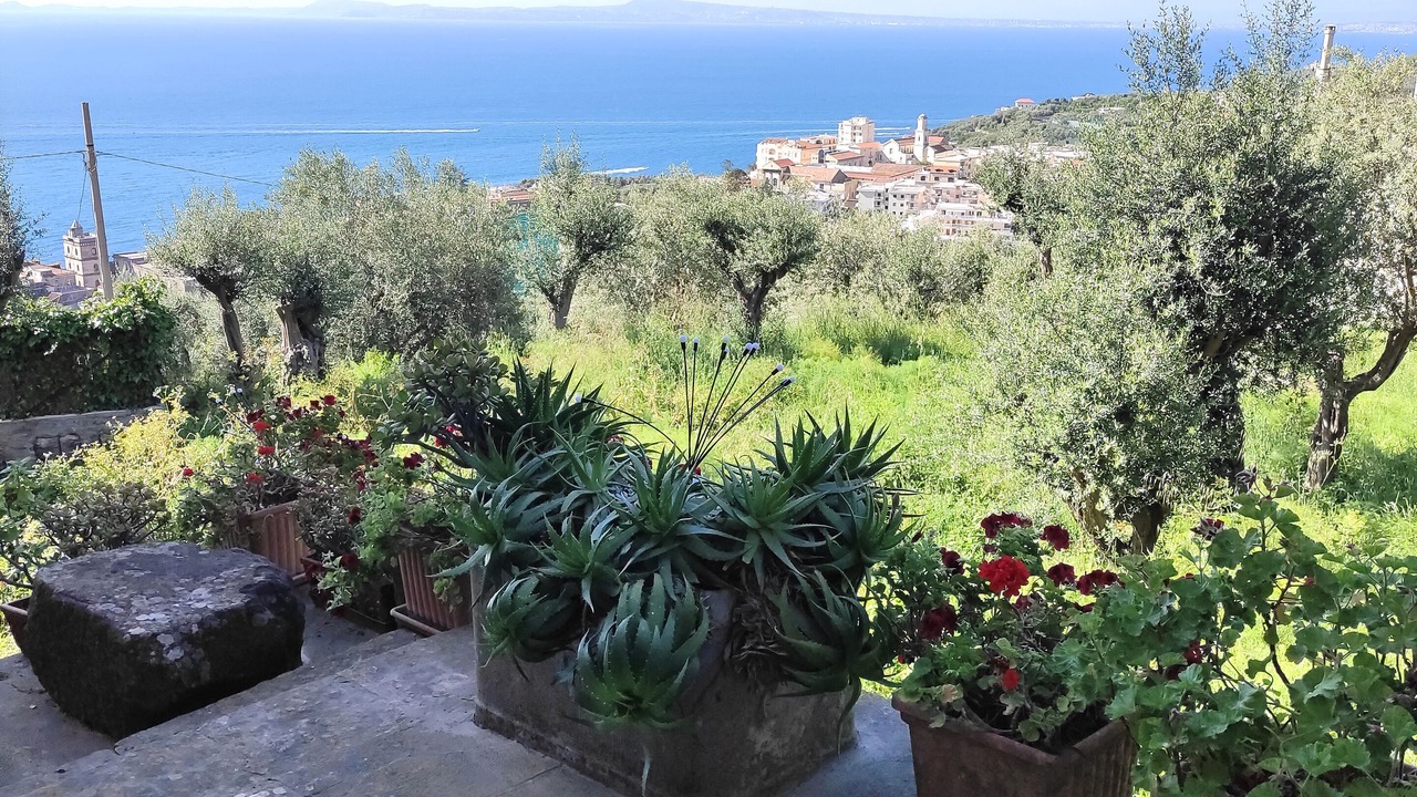 Photo of Outdoor in Schiazzano