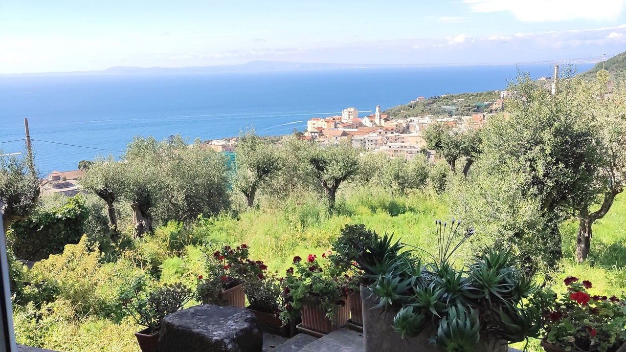 Photo of Outdoor in Schiazzano