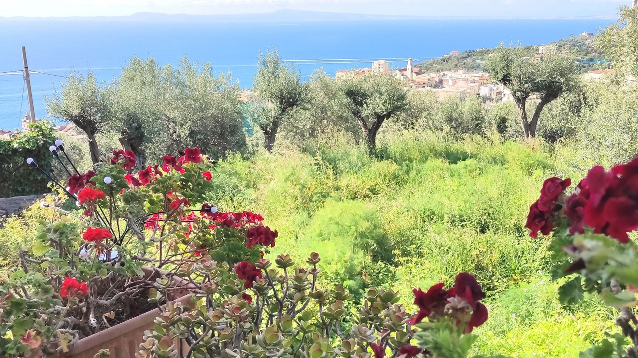 Photo of Outdoor in Schiazzano
