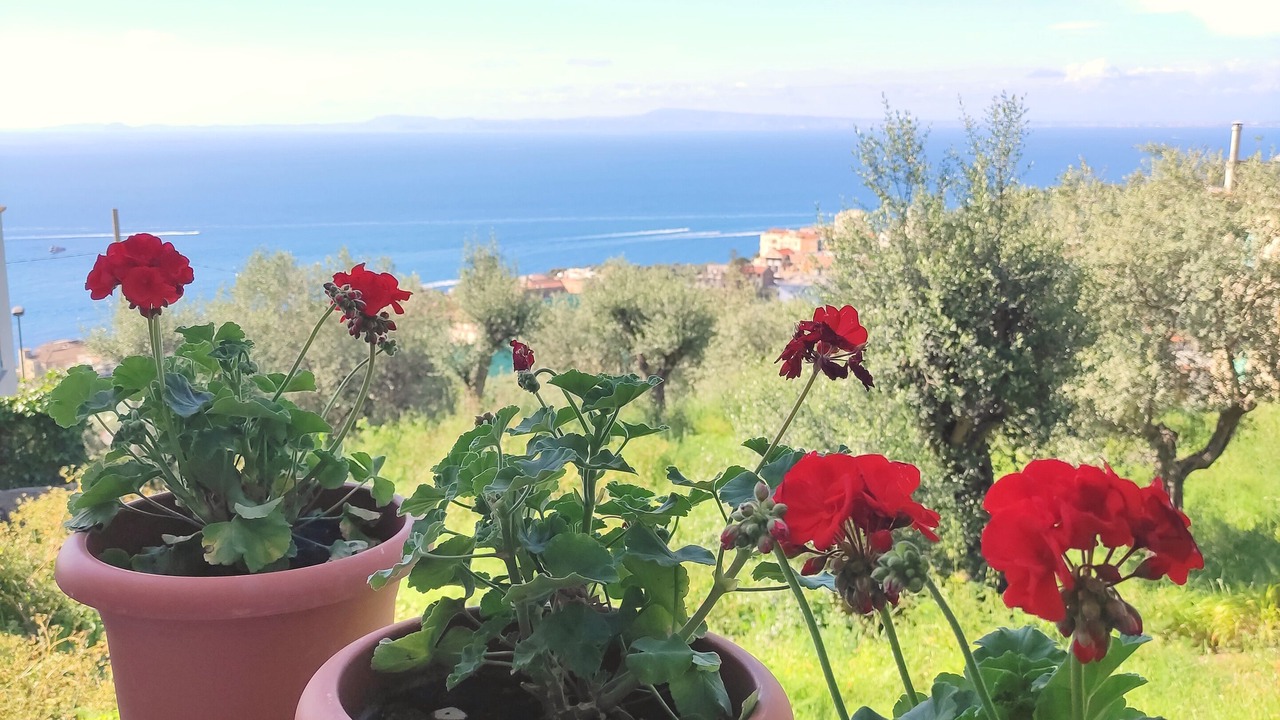 Photo of Outdoor in Schiazzano