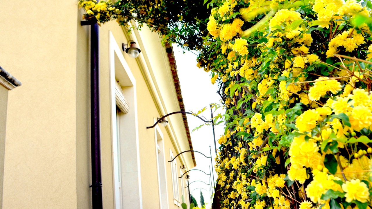 Photo of Outdoor in Santa Venerina
