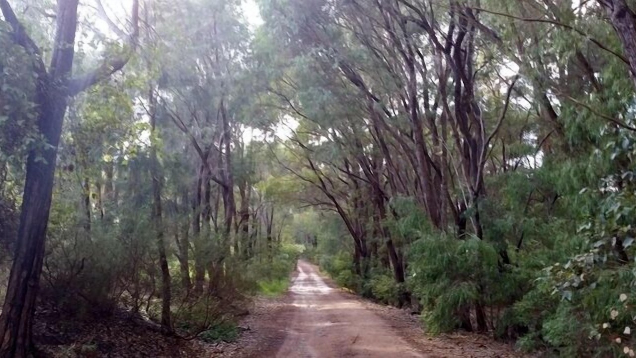 Photo of Outdoor in Margaret River
