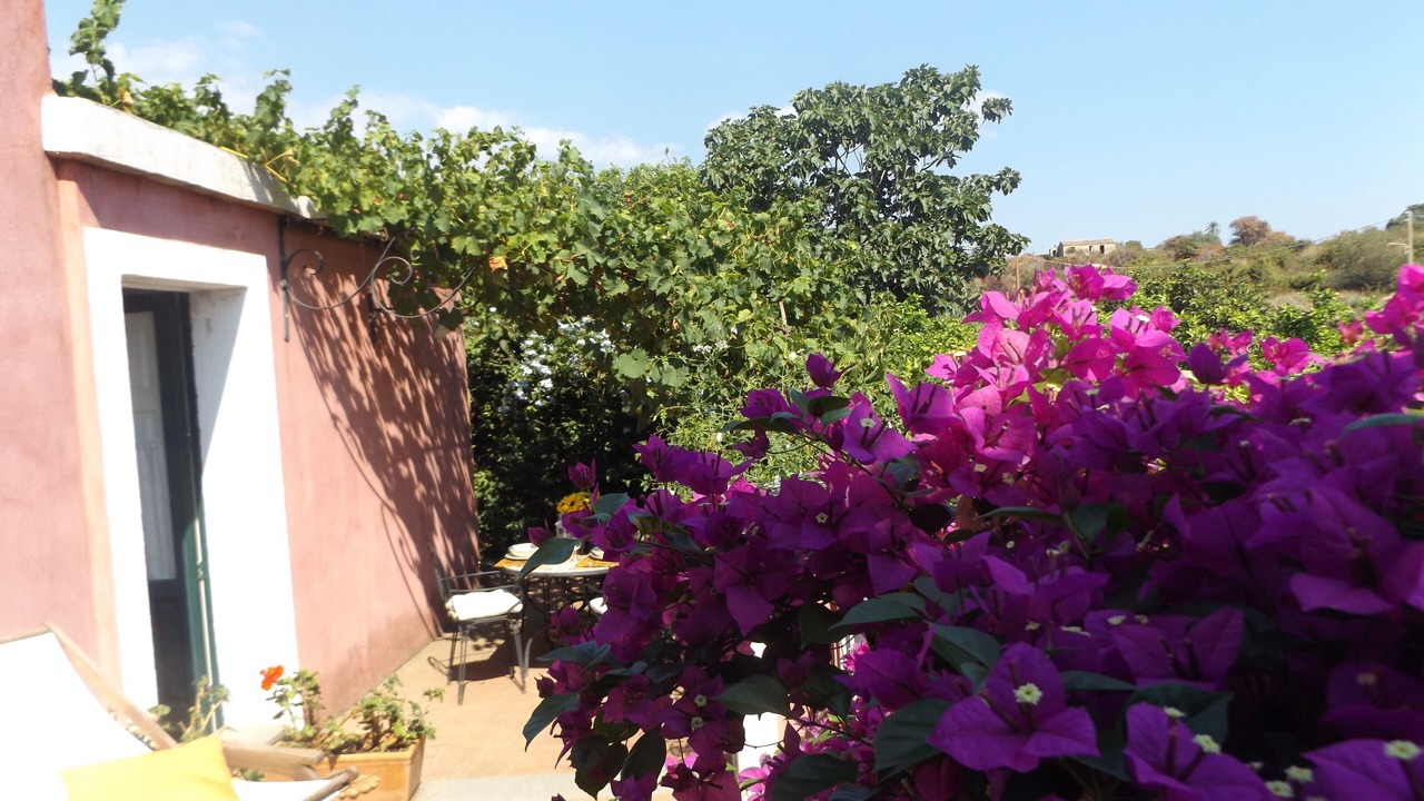 Photo of Outdoor in Archi