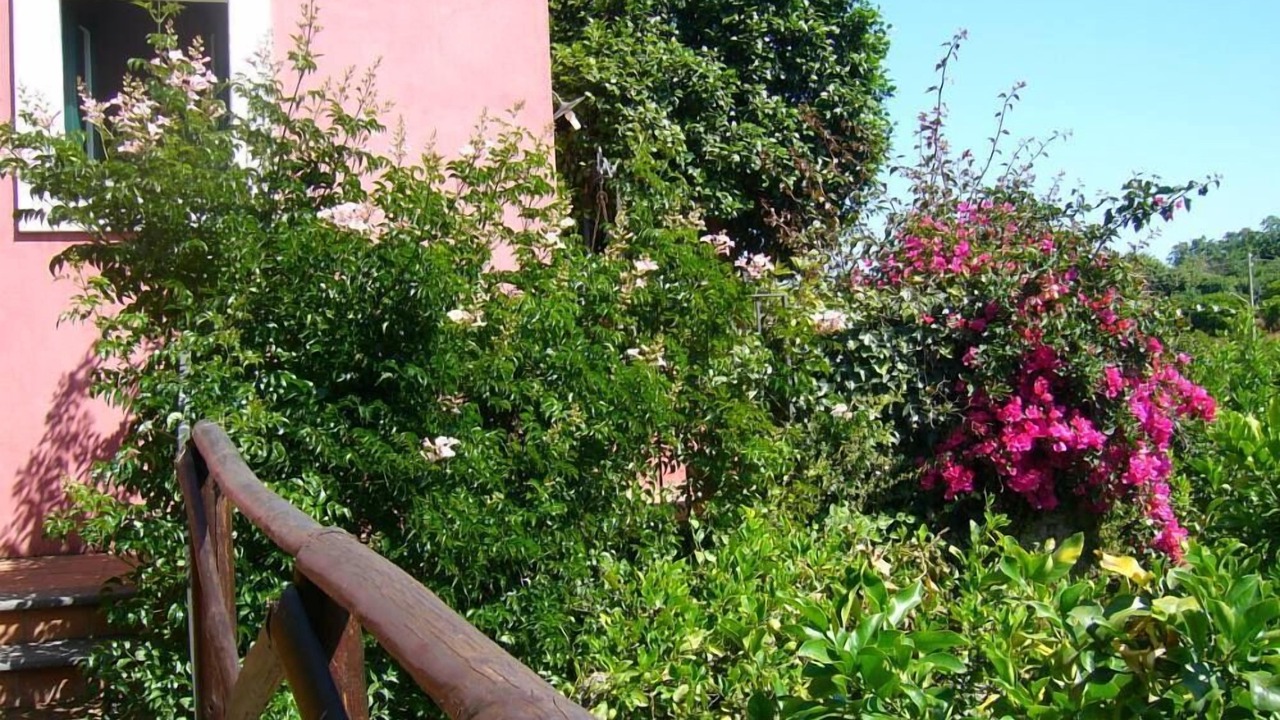 Photo of Outdoor in Archi
