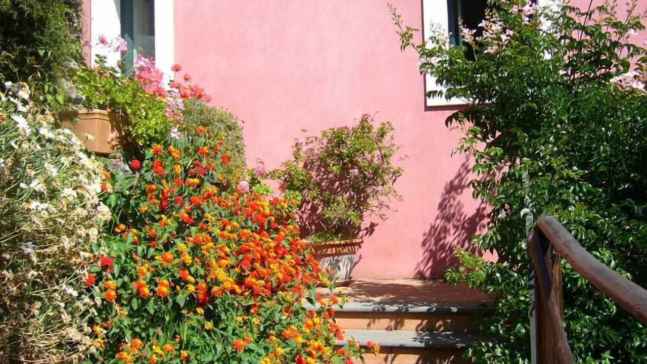 Photo of Outdoor in Archi