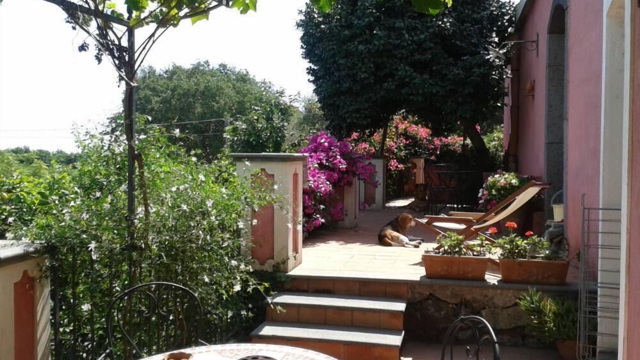 Photo of Outdoor in Archi