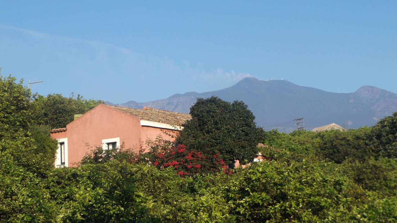 Photo of Outdoor in Archi