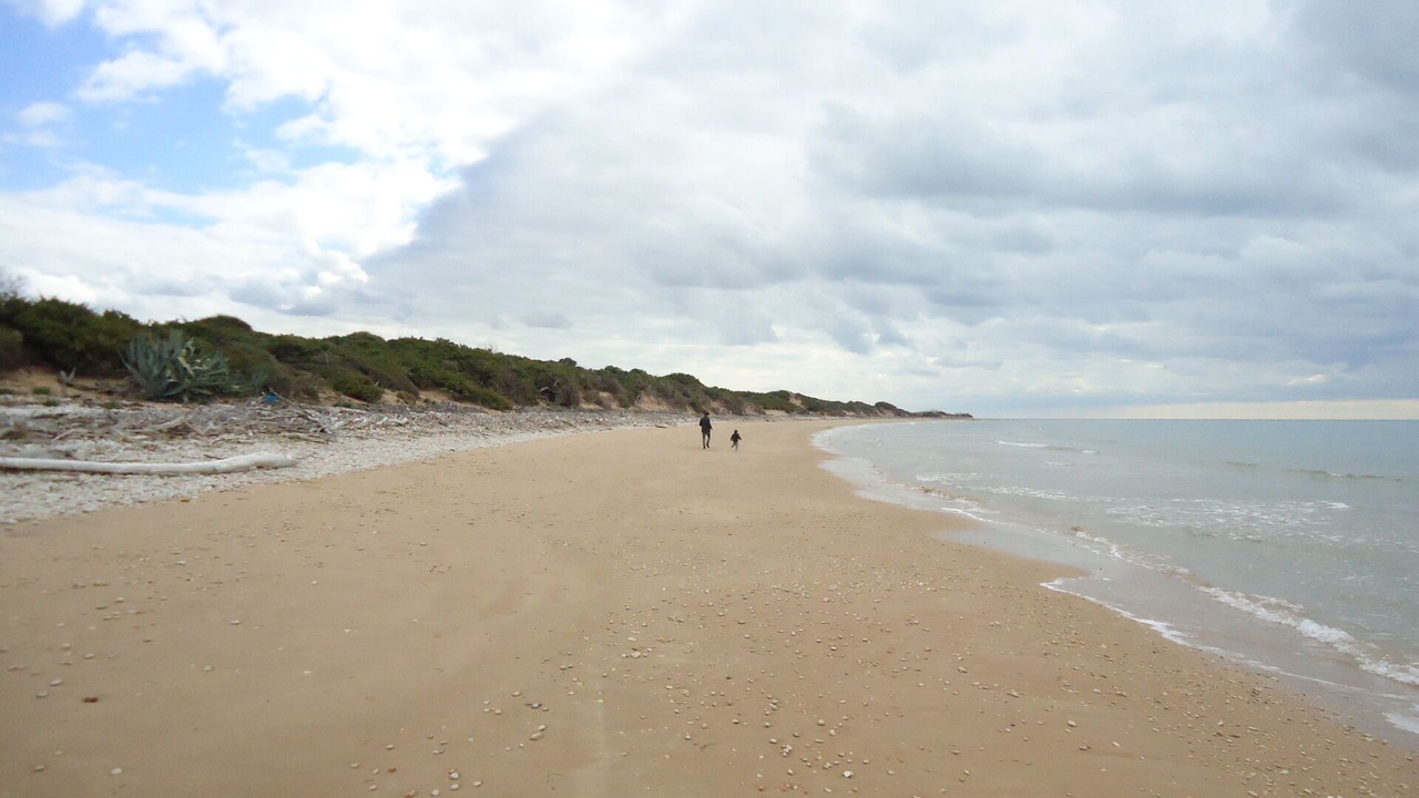Photo of Others in Marina di Ragusa