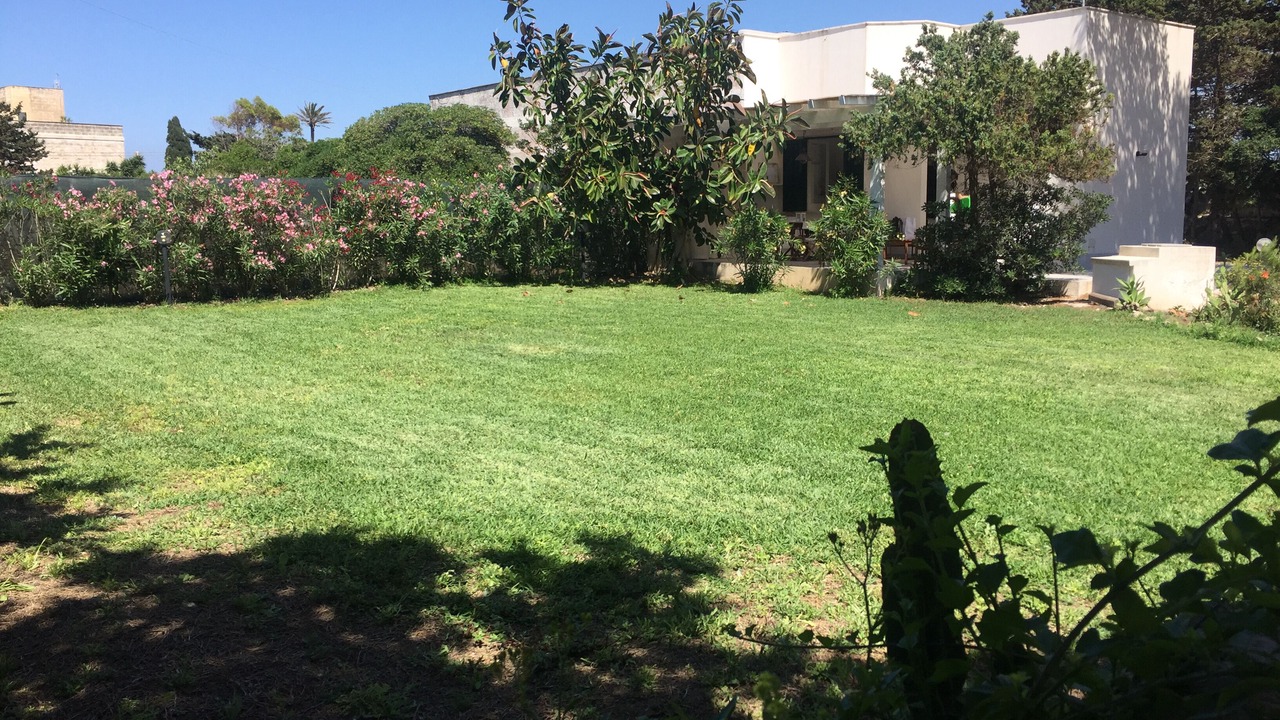 Photo of Outdoor in Favignana