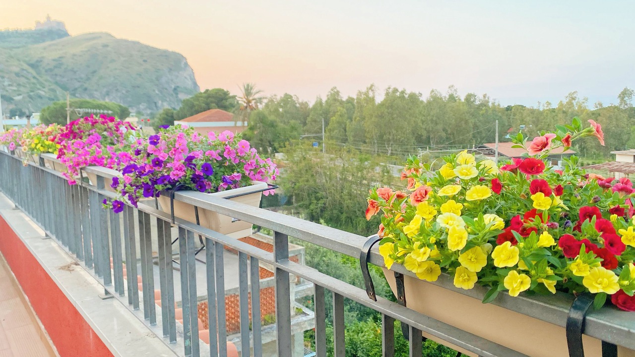 Photo of Outdoor in Oliveri