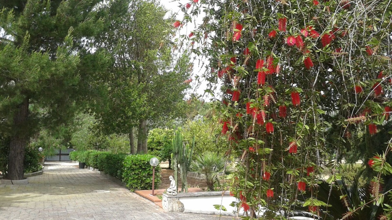 Photo of Outdoor in Il Monte