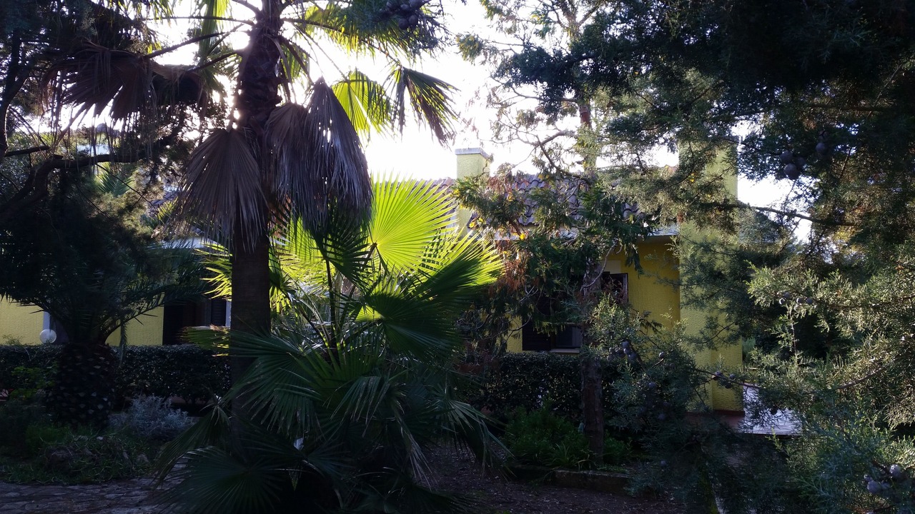 Photo of Outdoor in Il Monte