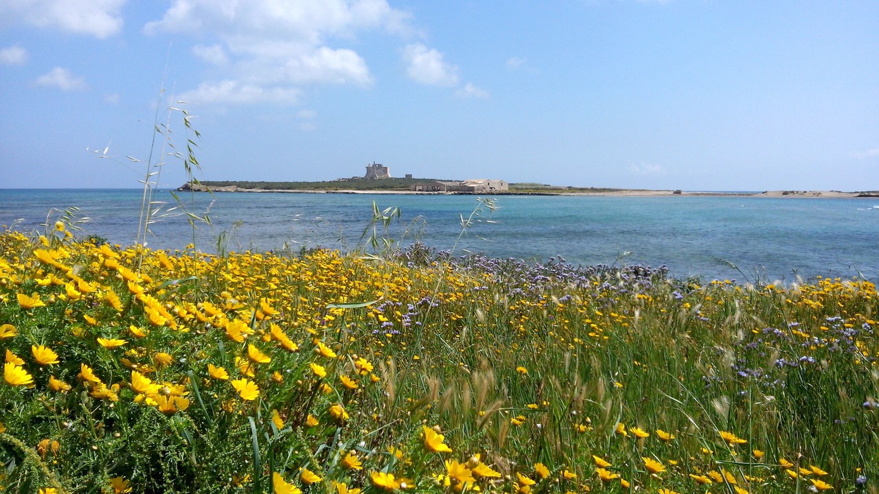 Photo of Others in Portopalo di Capo Passero