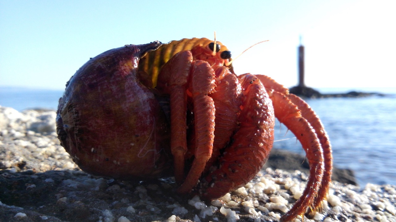 Photo of Others in Portopalo di Capo Passero