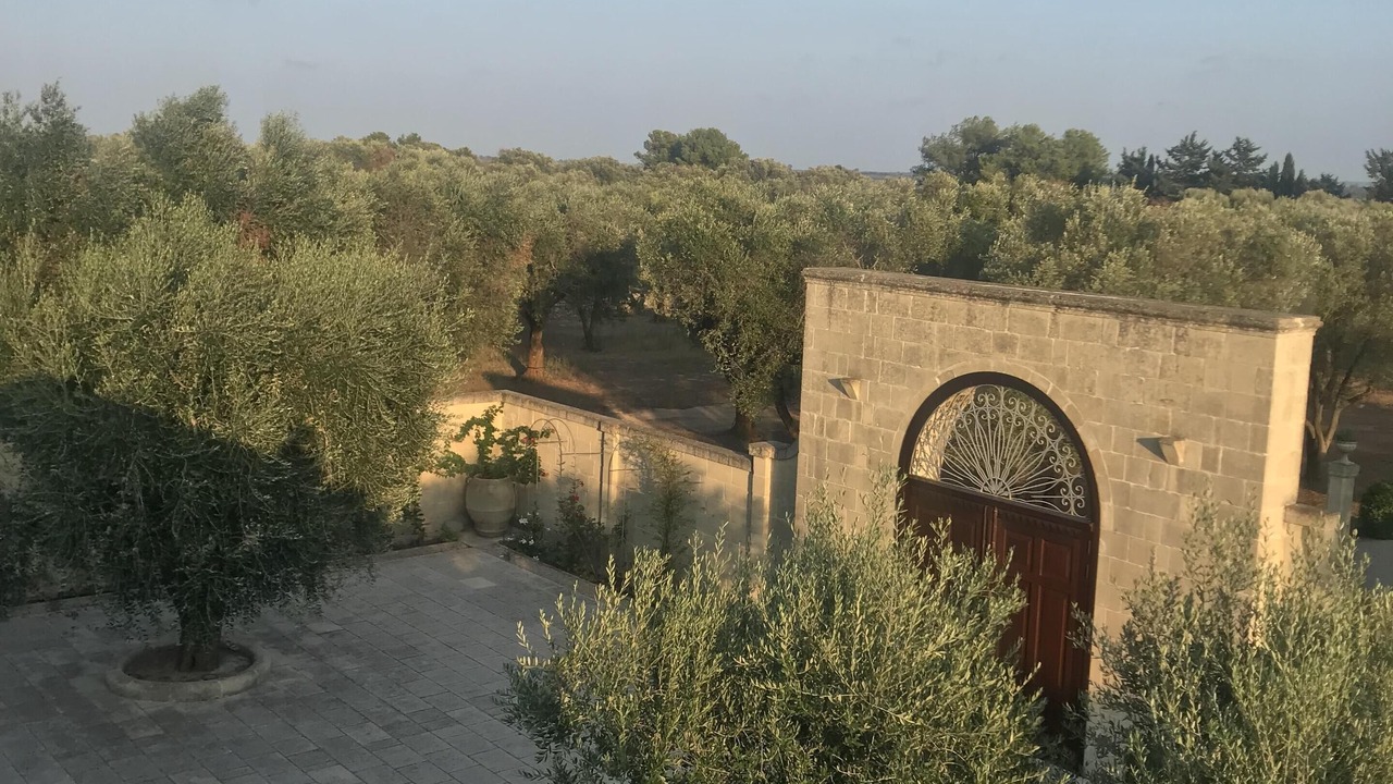 Photo of Outdoor in Carpignano Salentino