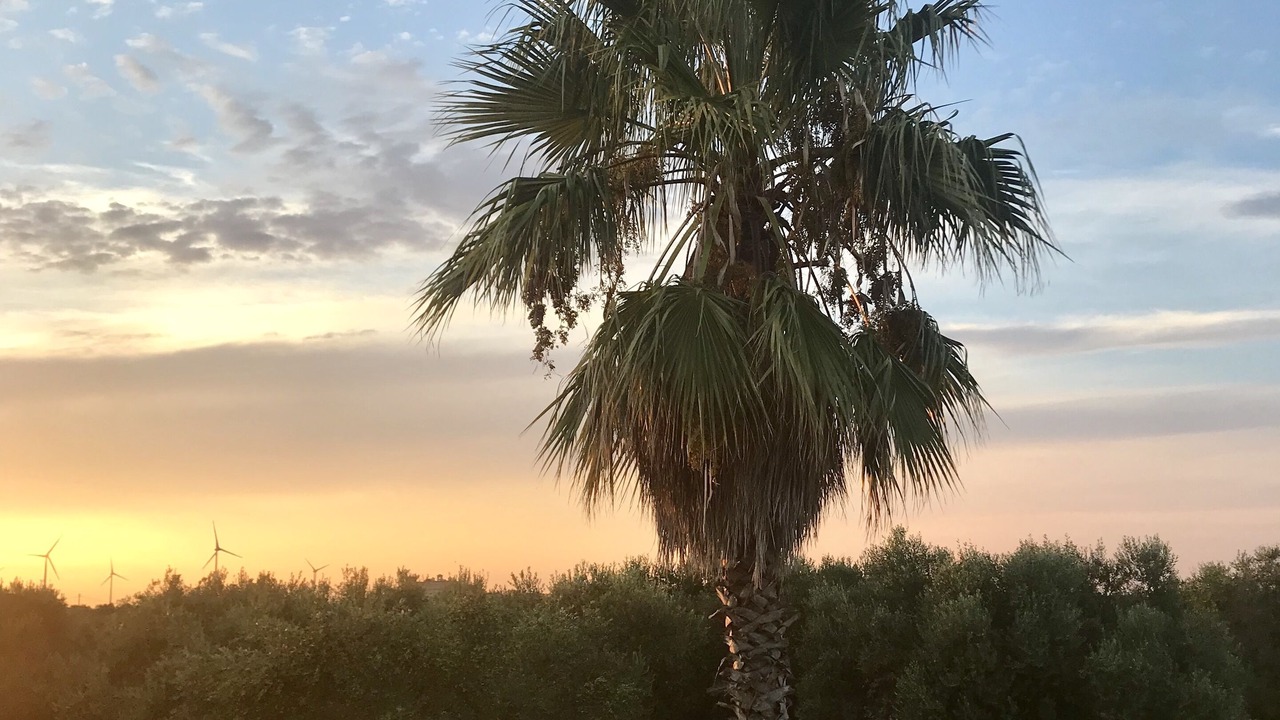 Photo of Outdoor in Carpignano Salentino