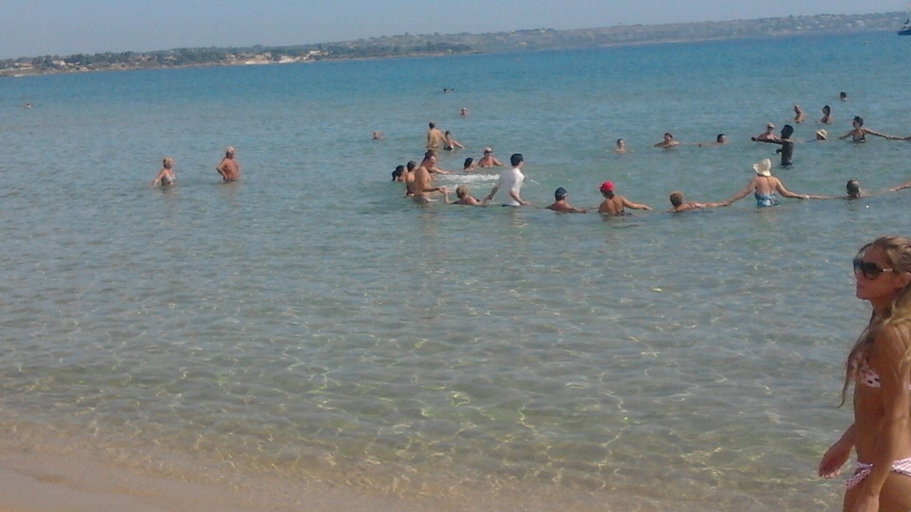 Photo of Others in Arenella