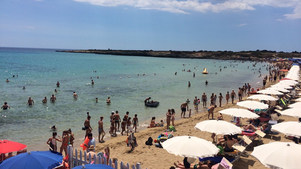 Photo of Others in Arenella
