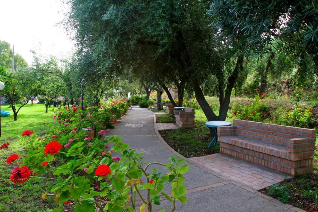 Photo of Outdoor in Parghelia