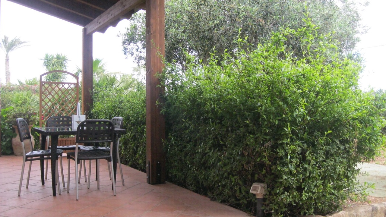Photo of Outdoor in San Vito Lo Capo